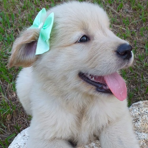 WhatsApp-Image-2021-06-01-at-17.32.29-1-1