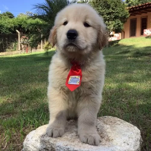 WhatsApp-Image-2021-06-01-at-17.32.30