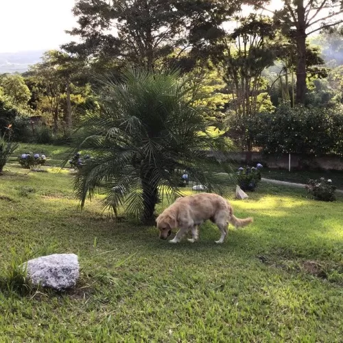 WhatsApp-Image-2021-06-01-at-17.32.31-2