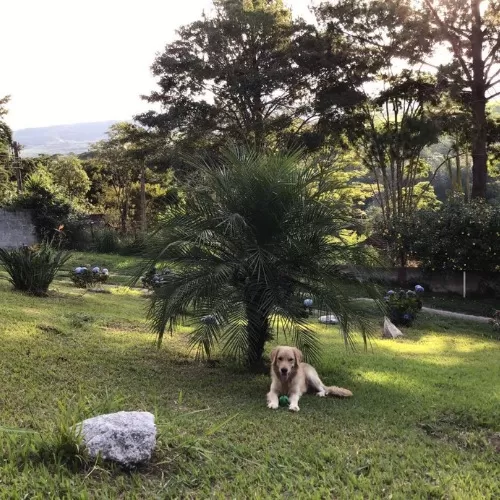 WhatsApp-Image-2021-06-01-at-17.32.31