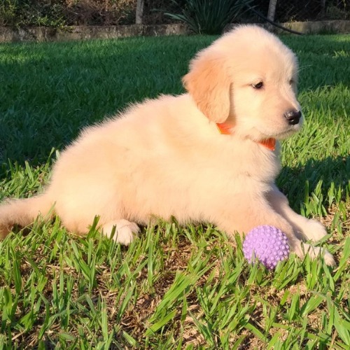 WhatsApp-Image-2021-06-01-at-17.32.32-2