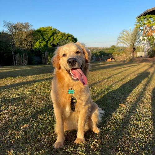 WhatsApp-Image-2021-06-14-at-11.52.56-1-1