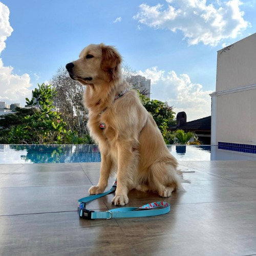 WhatsApp-Image-2021-06-14-at-11.52.56-2-1