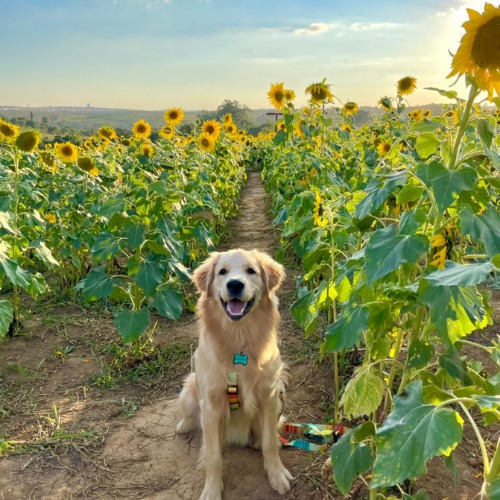 WhatsApp-Image-2021-06-14-at-11.52.56-3-1