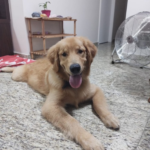 WhatsApp-Image-2021-06-14-at-11.52.56-4