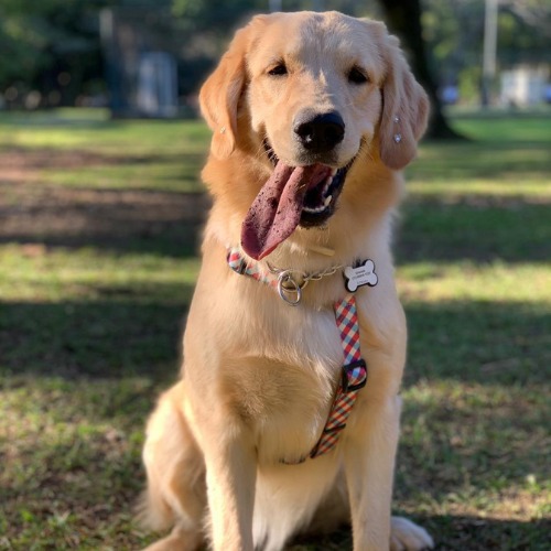 WhatsApp-Image-2021-06-23-at-14.14.22-1-1