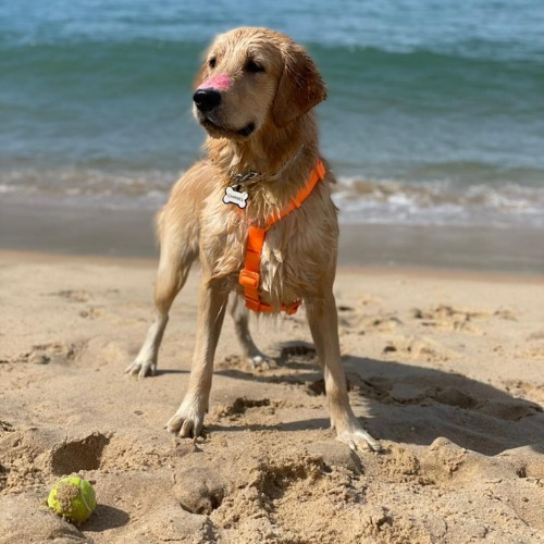 WhatsApp-Image-2021-06-23-at-14.14.22-2