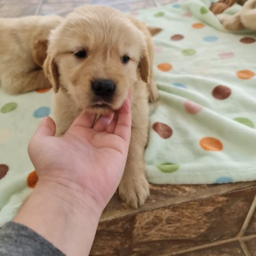 WhatsApp-Image-2021-06-23-at-14.18.45-1-1