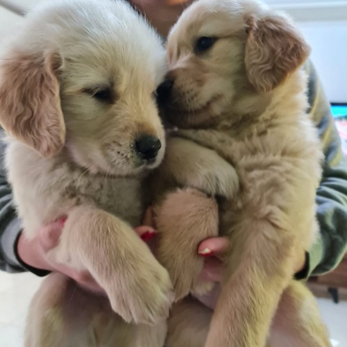 WhatsApp-Image-2021-06-23-at-14.18.45-2