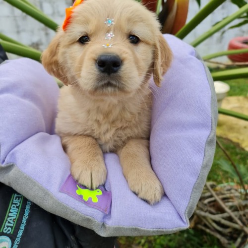 WhatsApp-Image-2021-06-23-at-14.18.46-3