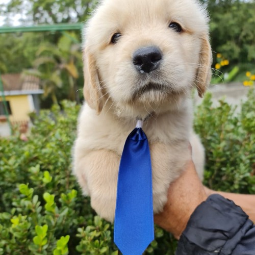 WhatsApp-Image-2021-06-23-at-14.18.47-1-1