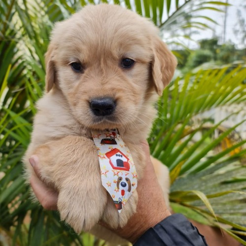 WhatsApp-Image-2021-06-23-at-14.18.47-2-1