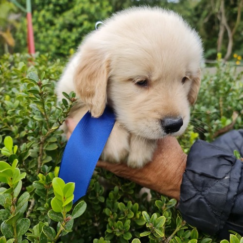 WhatsApp-Image-2021-06-23-at-14.18.47-3