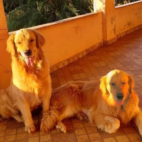 WhatsApp-Image-2021-06-24-at-15.40.27