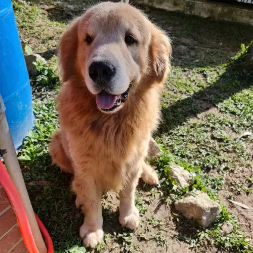 WhatsApp-Image-2021-06-24-at-15.40.28-1