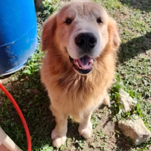 WhatsApp-Image-2021-06-24-at-15.40.28-2