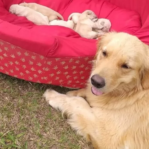 WhatsApp-Image-2021-06-24-at-15.40.28